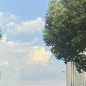 见你如隔上个世纪