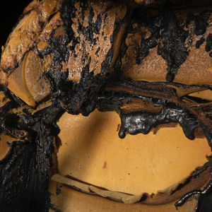 Dawn Of A New Dimension