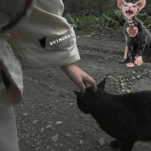 是我说错了，还是我脸上有脏东西啊