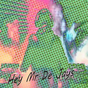 Hey Mr De Jays