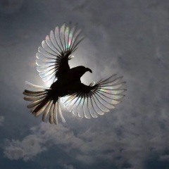 极限炸嗨神曲 (DJ版)