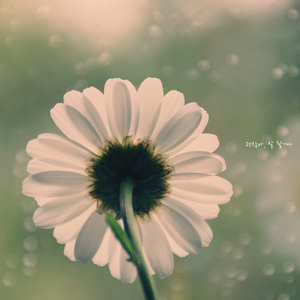 괜찮아 잘 될거야