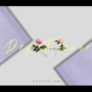 ドライフラワー / 乾燥花