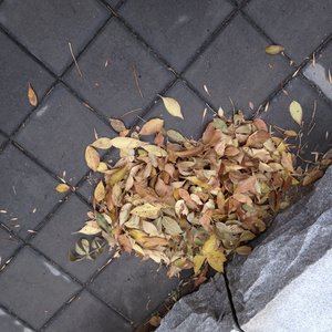 永远忘记（Prod.Eee.T&Bickyboy）