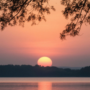 半生（沧桑版）