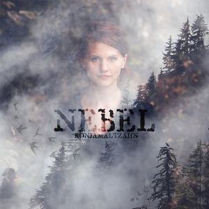 Nebel (Single edit)