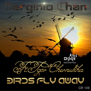 Birds Fly Away (Original Mix)