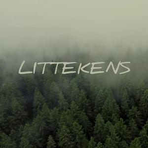 LITTEKENS