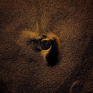 Desierto