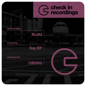 Did You Like It (Radio Edit)