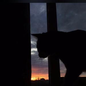 惊雷（温柔版）