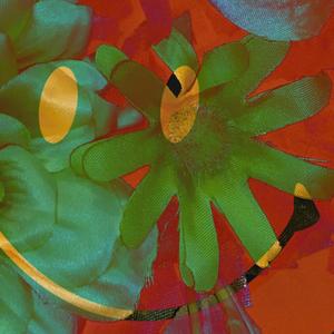 CALIFORNIA SUNSHINE (feat. elitimesfour & DJ Luci That Notorious Trans Allegory)