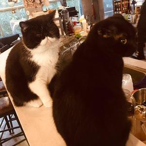 隔壁老樊（串烧）