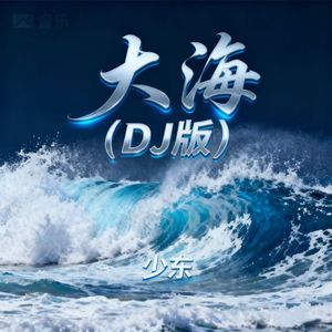 大海（DJ版）