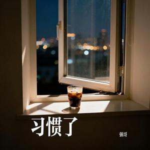 习惯了