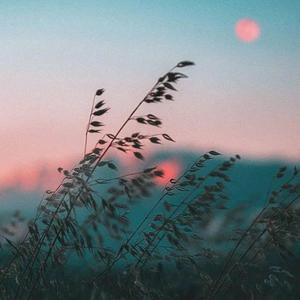 修炼爱情（Cover林俊杰）（翻自 林俊杰）