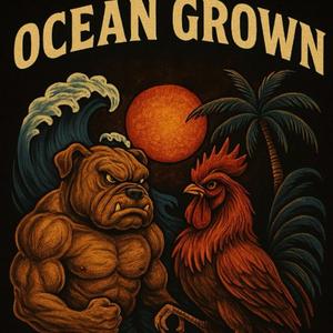 Cumbia De Jiu Jitsu (OGBJJ)