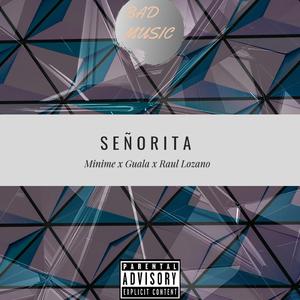Señorita (feat. Guala & Minime)