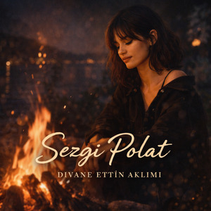 Divane Ettin Aklımı