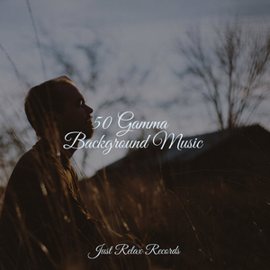 Interstellar Fantasia