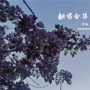 【天衍纪年】九万字（东方濯流和周离泽向）