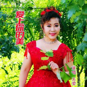 爱上你的美[王莹唱]