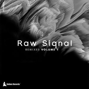 My Reflections (Raw Siqnal & Gmbos Re Touch Remix))