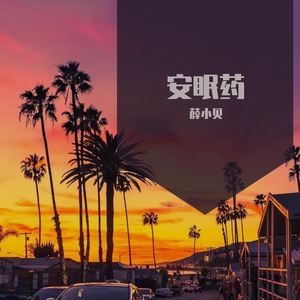 安眠药(Live)