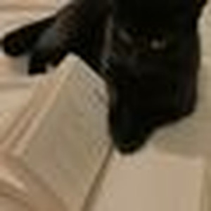 WE NEED ALL DA VIBES (sped up)