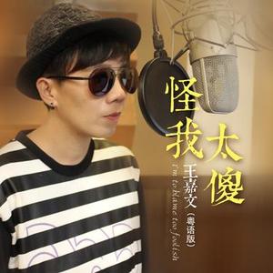 怪我太傻