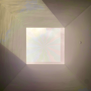 Can I Please Have The Loot?