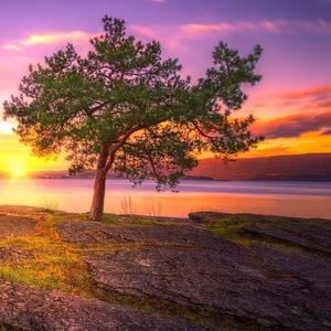 我期待的不是雪 (而是有你的冬天)