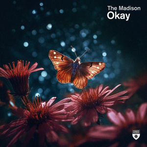 Okay (Extended Mix)