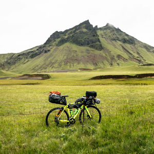 琴心入梦夜未央