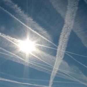 Morgellons Clearing 06