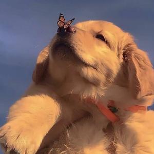 in love♥（demo版本）（PROD BY XVIBE）