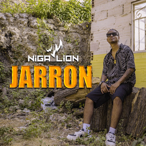 Jarrón