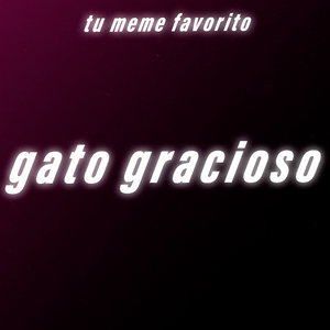 Gato Gracioso