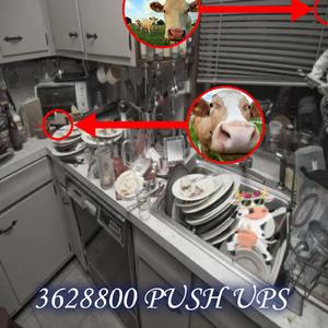 Buford! (feat. The Cup, Like this to instantly go into cardiac arrest and die, Colorado Springs Distribution Center, Obeast, Drowsy Driving Man and Woman & Airplane Cheesebox)