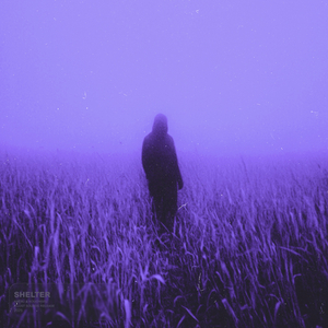shelter (slowed + reverb)