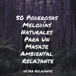 Melodía De Meditación Matutina