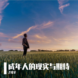 成年人的现实与期待