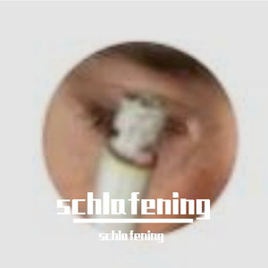 向阳绽放的情笺