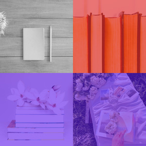 温和深度聚焦梦想