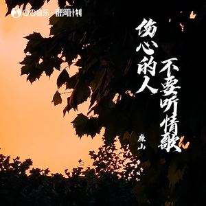 伤心的人不要听情歌