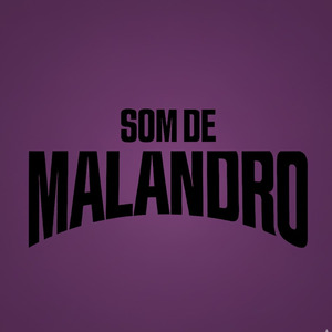 EU JÁ SEI O QUE FAZER PRA ESQUECER DE VOCÊ, AMO MINHA FAVELA