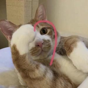 爱就一个字.mp3.mp3