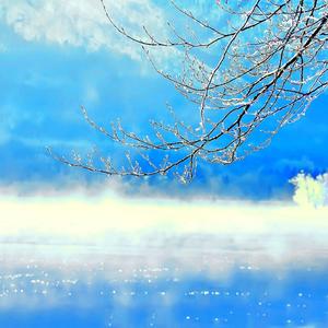 [Free]Midwinter Sadness