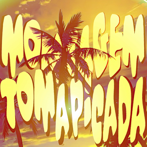 Montagem Toma Picada