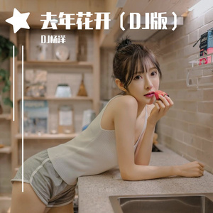 去年花开（DJ版）